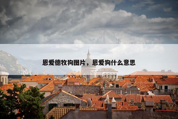 恩爱德牧狗图片，恩爱狗什么意思
