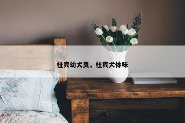 杜宾幼犬臭，杜宾犬体味