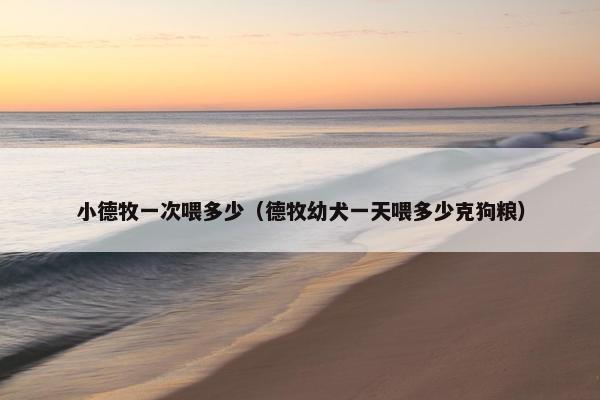 小德牧一次喂多少（德牧幼犬一天喂多少克狗粮）