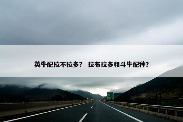 英牛配拉不拉多？ 拉布拉多和斗牛配种？