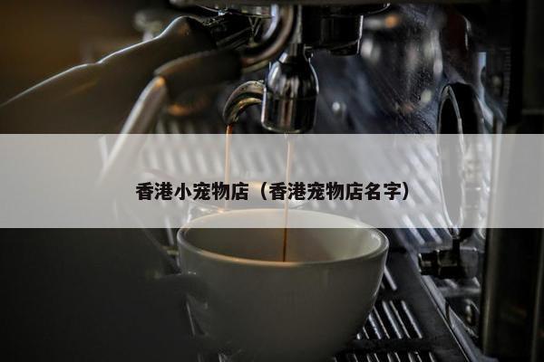 香港小宠物店（香港宠物店名字）