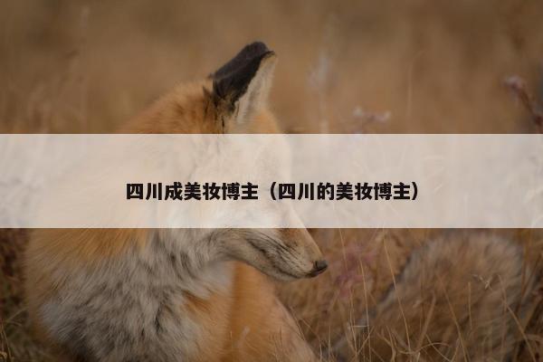 四川成美妆博主（四川的美妆博主）