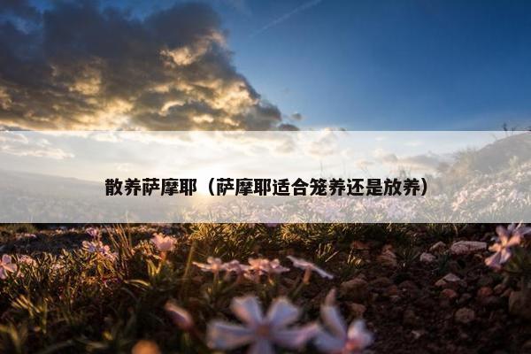 散养萨摩耶（萨摩耶适合笼养还是放养）