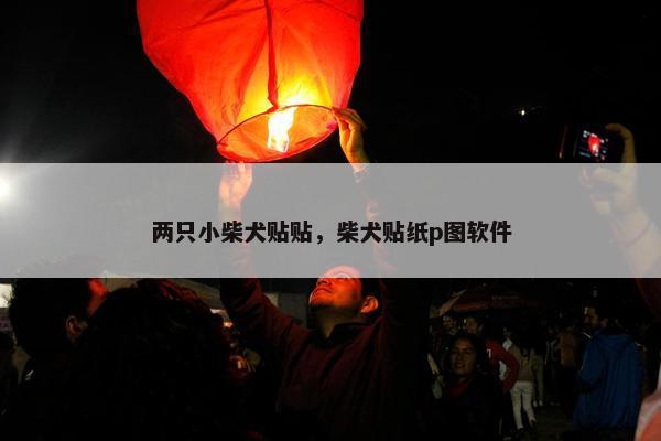 两只小柴犬贴贴，柴犬贴纸p图软件