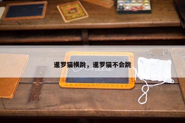 暹罗猫横跳，暹罗猫不会跳