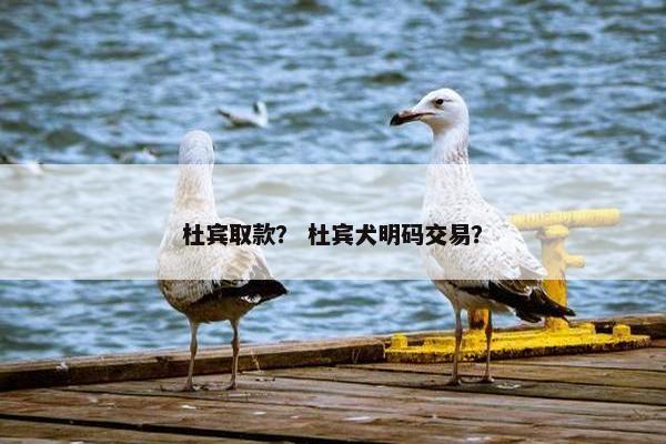 杜宾取款？ 杜宾犬明码交易？