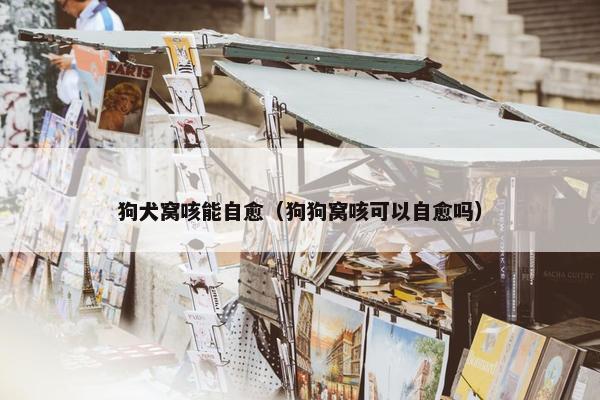 狗犬窝咳能自愈（狗狗窝咳可以自愈吗）