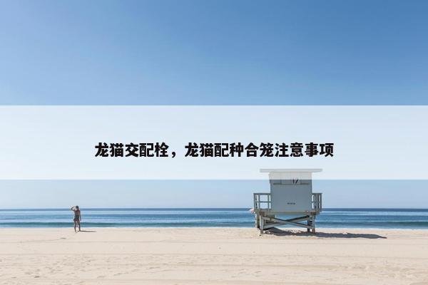 龙猫交配栓，龙猫配种合笼注意事项