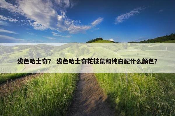 浅色哈士奇？ 浅色哈士奇花枝鼠和纯白配什么颜色？