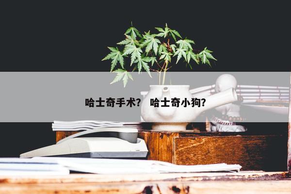 哈士奇手术？ 哈士奇小狗？
