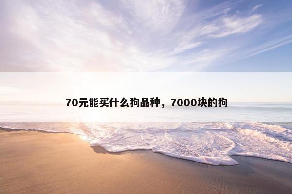 70元能买什么狗品种，7000块的狗