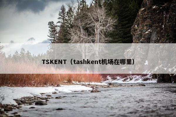 TSKENT（tashkent机场在哪里）