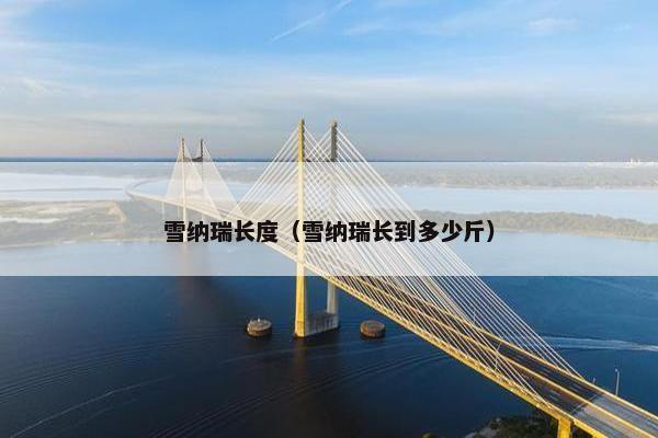 雪纳瑞长度（雪纳瑞长到多少斤）