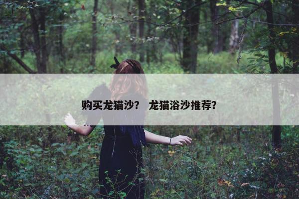 购买龙猫沙？ 龙猫浴沙推荐？
