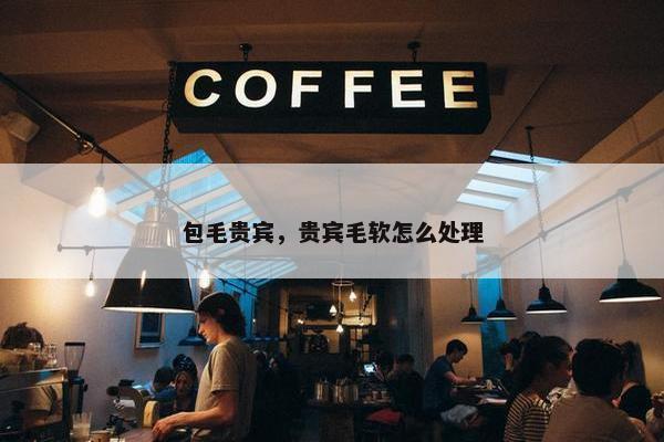 包毛贵宾，贵宾毛软怎么处理