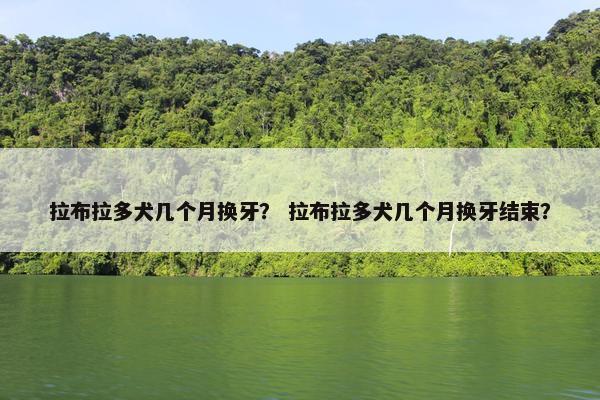 拉布拉多犬几个月换牙？ 拉布拉多犬几个月换牙结束？