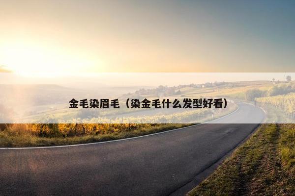 金毛染眉毛（染金毛什么发型好看）