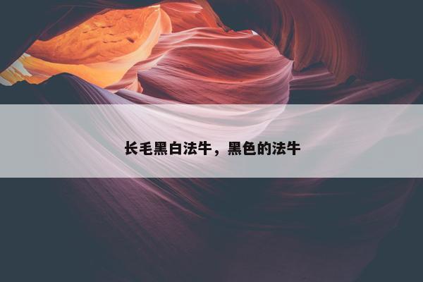 长毛黑白法牛，黑色的法牛
