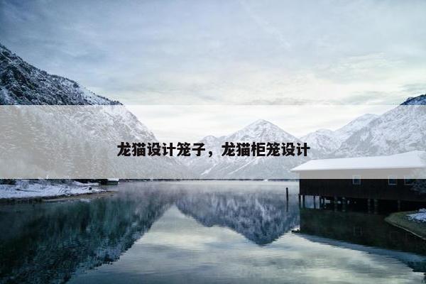 龙猫设计笼子，龙猫柜笼设计