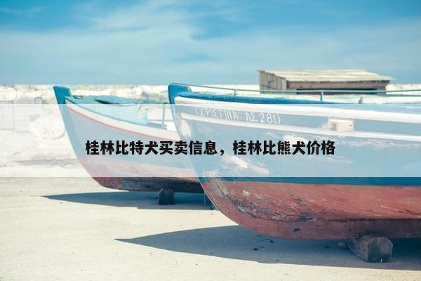 桂林比特犬买卖信息，桂林比熊犬价格