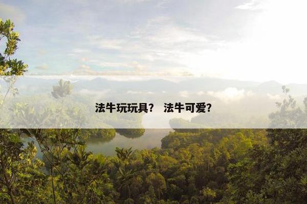 法牛玩玩具？ 法牛可爱？