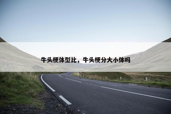 牛头梗体型比，牛头梗分大小体吗