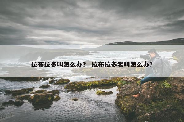 拉布拉多叫怎么办？ 拉布拉多老叫怎么办？