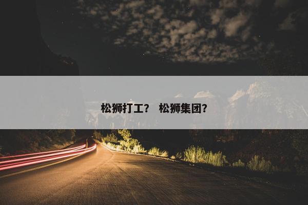 松狮打工？ 松狮集团？