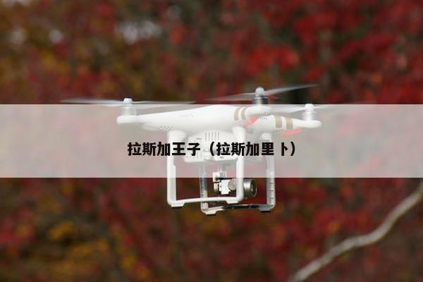 拉斯加王子（拉斯加里卜）