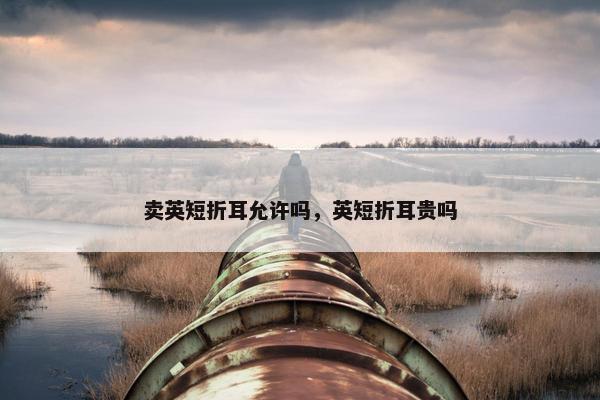 卖英短折耳允许吗，英短折耳贵吗