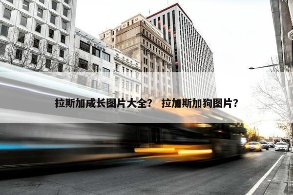 拉斯加成长图片大全? 拉加斯加狗图片? 拉斯加成长图片大全? 拉加斯加狗图片?