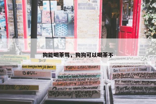 狗能喝茶骂，狗狗可以喝茶不