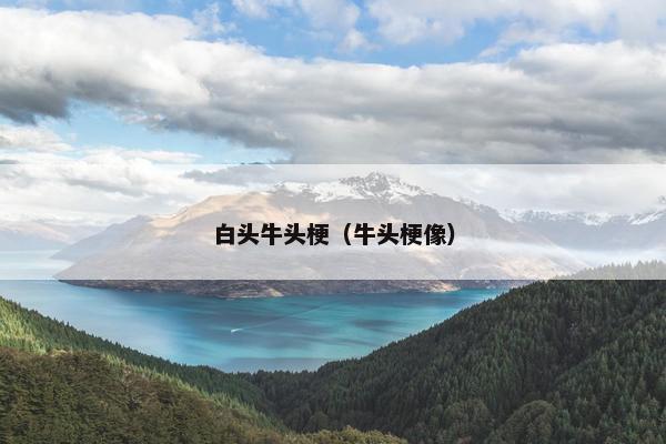 白头牛头梗（牛头梗像）