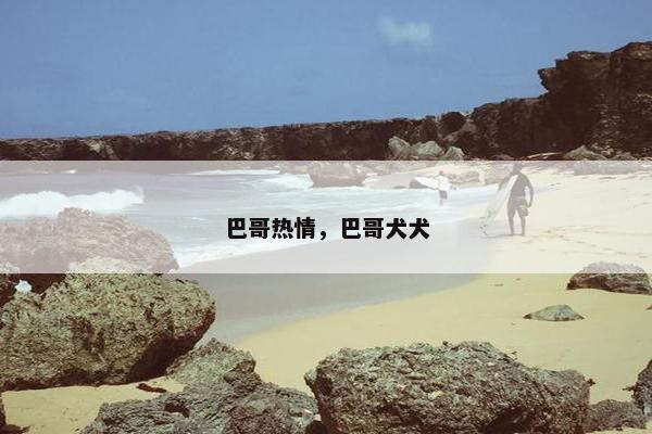 巴哥热情，巴哥犬犬