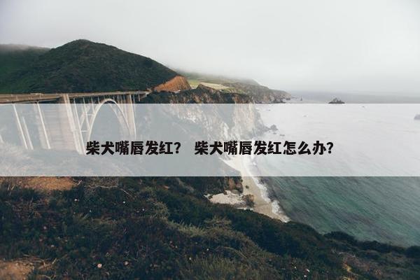 柴犬嘴唇发红？ 柴犬嘴唇发红怎么办？