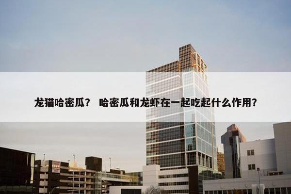 龙猫哈密瓜？ 哈密瓜和龙虾在一起吃起什么作用？