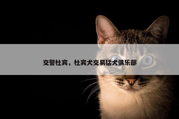 交警杜宾，杜宾犬交易猛犬俱乐部