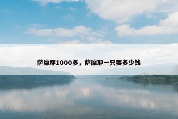 萨摩耶1000多,萨摩耶一只要多少钱 萨摩耶1000多,萨摩耶一只要多少钱
