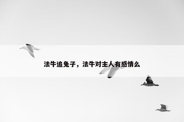 法牛追兔子，法牛对主人有感情么