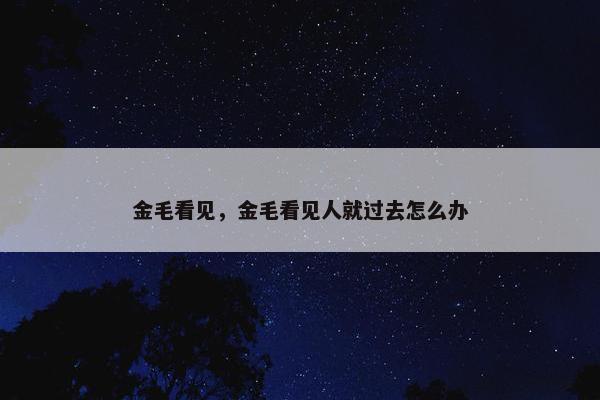 金毛看见，金毛看见人就过去怎么办