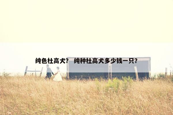 纯色杜高犬? 纯种杜高犬多少钱一只? 纯色杜高犬? 纯种杜高犬多少钱一只?