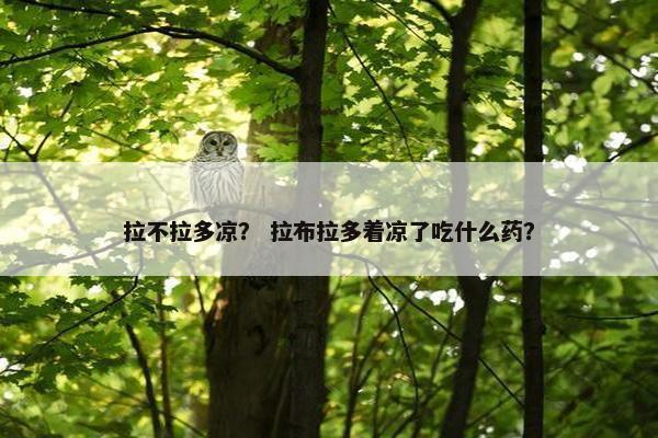 拉不拉多凉？ 拉布拉多着凉了吃什么药？