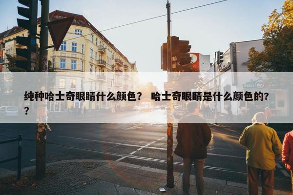 纯种哈士奇眼睛什么颜色？ 哈士奇眼睛是什么颜色的?？