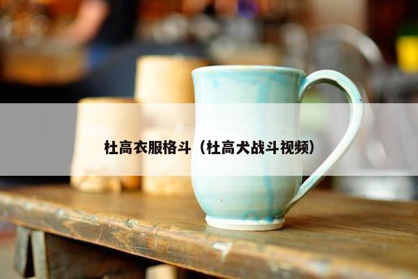 杜高衣服格斗（杜高犬战斗视频）