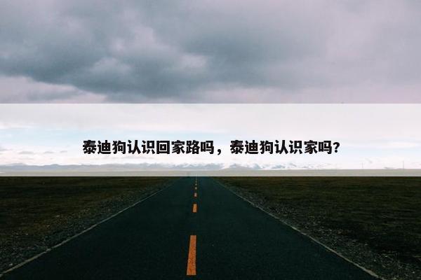 泰迪狗认识回家路吗,泰迪狗认识家吗? 泰迪狗认识回家路吗,泰迪狗认识家吗?