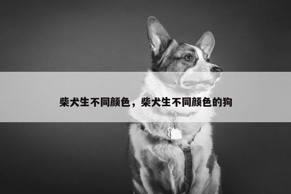 柴犬生不同颜色，柴犬生不同颜色的狗