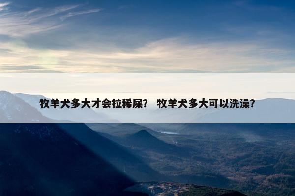 牧羊犬多大才会拉稀屎？ 牧羊犬多大可以洗澡？