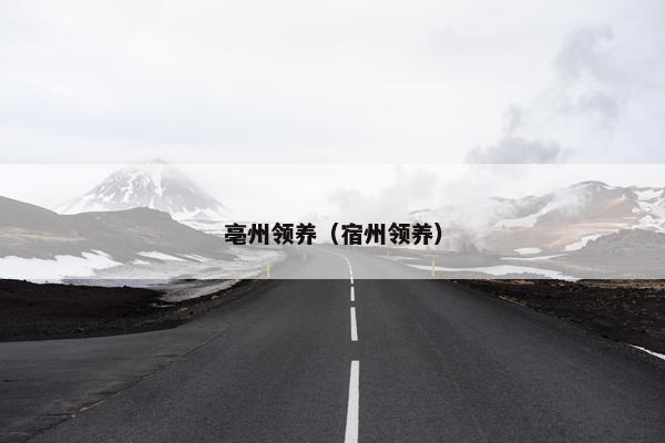 亳州领养(宿州领养) 亳州领养(宿州领养)