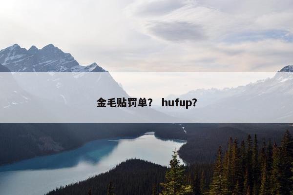 金毛贴罚单？ hufup？