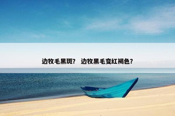 边牧毛黑斑？ 边牧黑毛变红褐色？